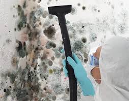 Best Residential Mold Inspection & Testing  in Los Molinos, CA